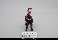 藏品(印度傀儡馬)的圖片